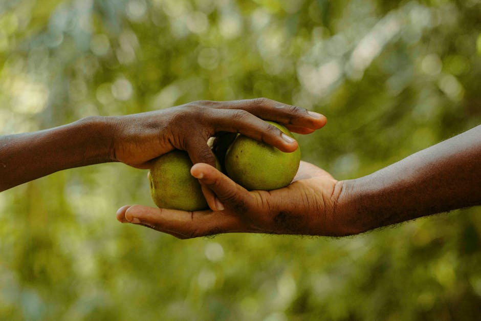biblical stewardship Good Faith Investing