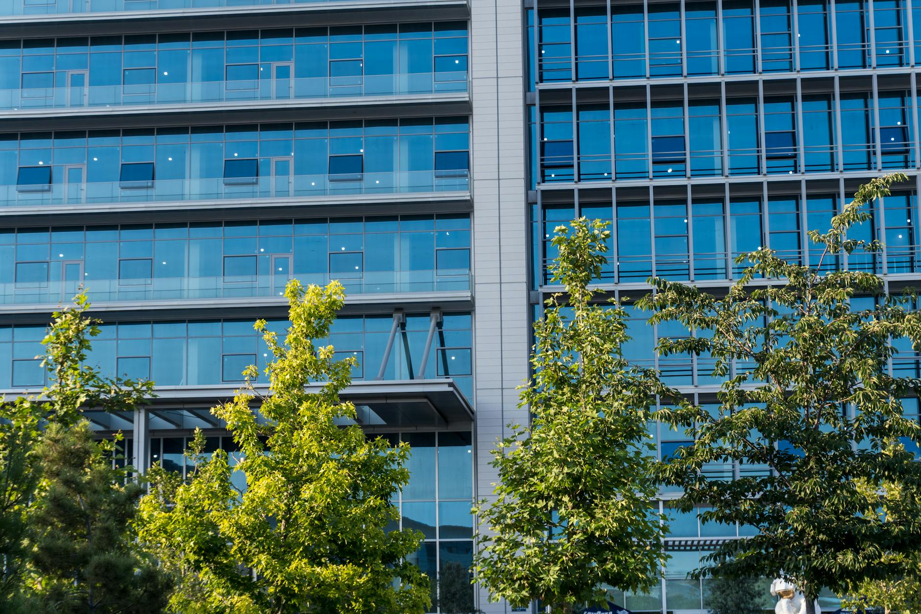 Contemporary glass office building facade with trees in front, reflecting urban environment.