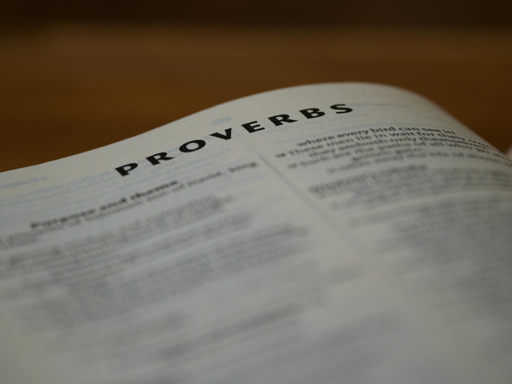 Detailed view of the Book of Proverbs page with blurred scripture.