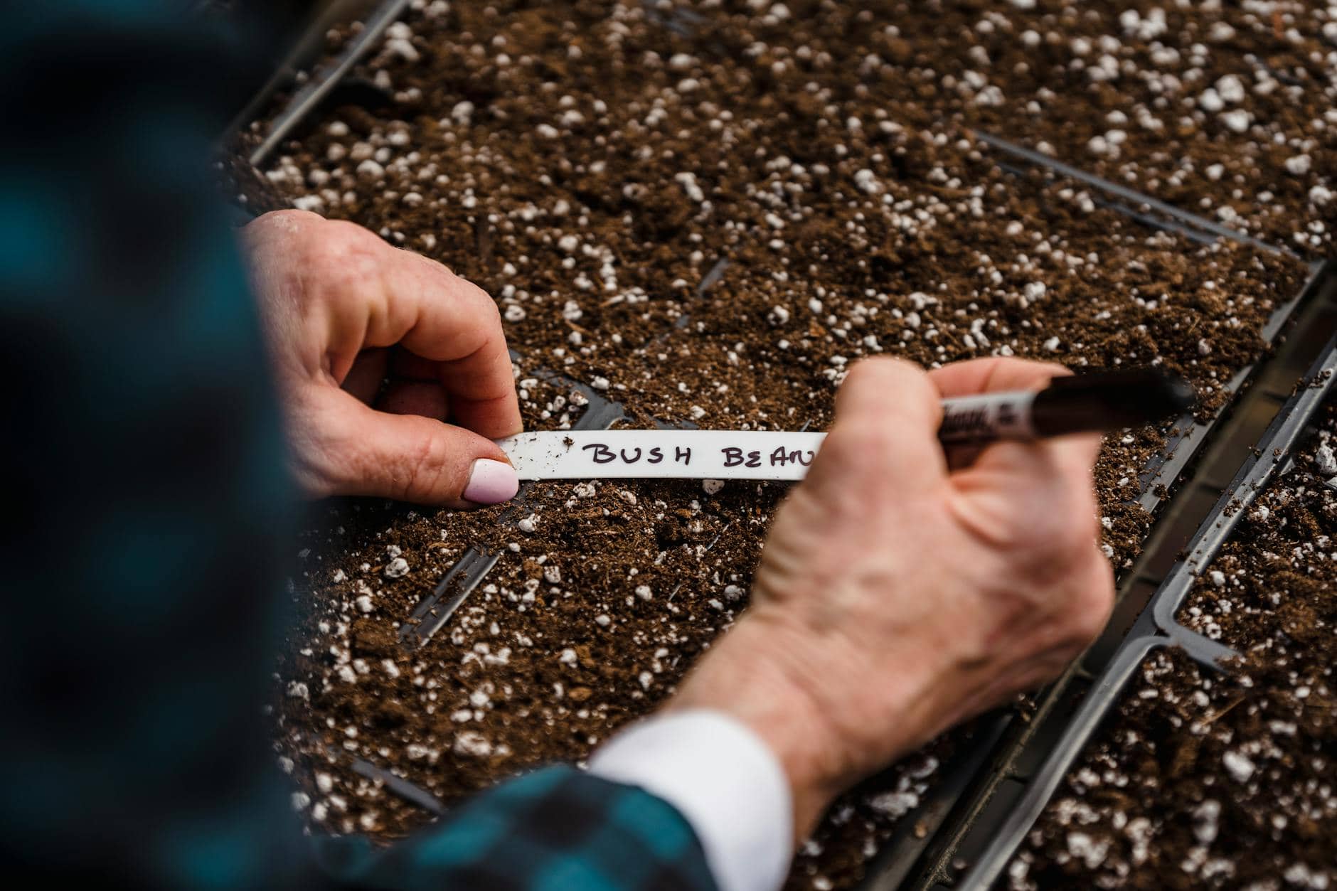 Hands planting seeds representing faithful stewardship and impact investing