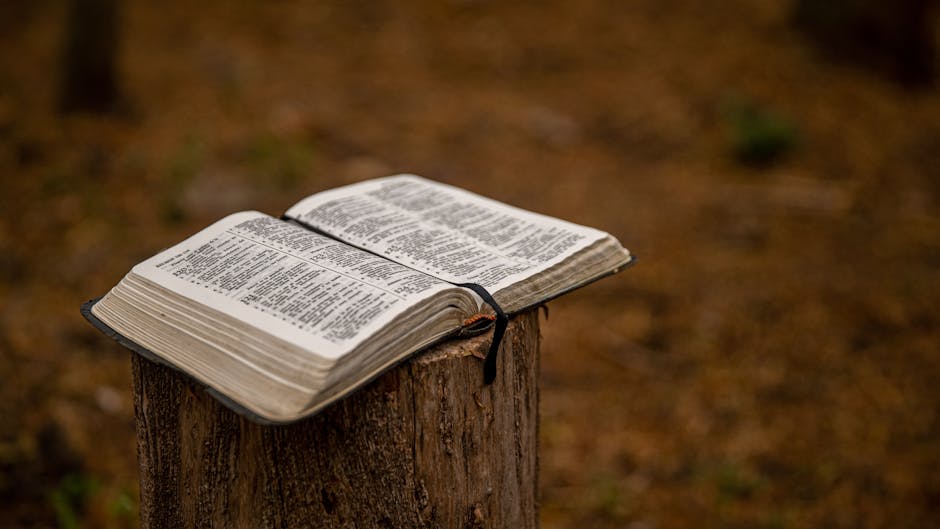 what is bri Good Faith Investing